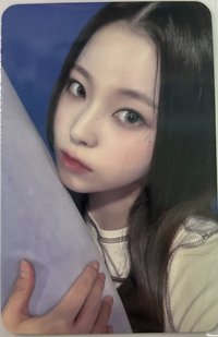 expérgo sw 簽售卡 4.0 抱枕圭