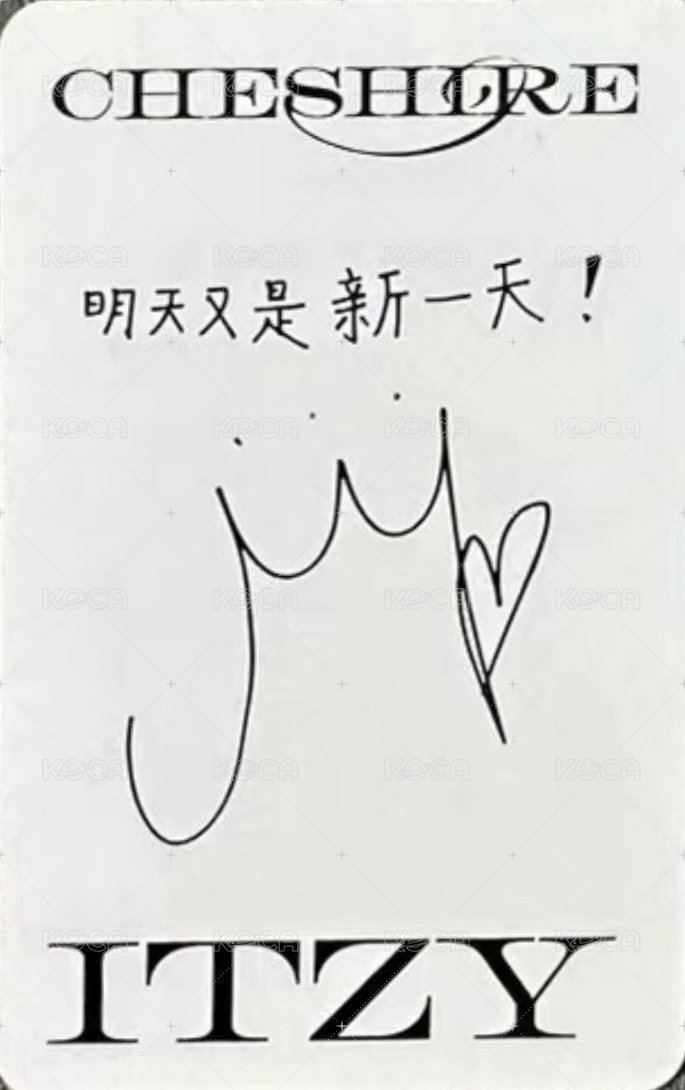 CHESHIRE yzy 特典卡 預售 背面