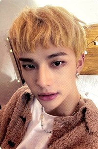 SKZ-REPLAY 專輯卡 