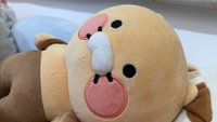 春植