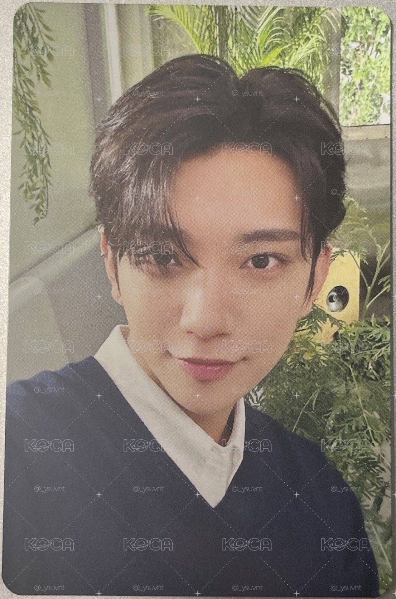 Joshua 消費期限 專輯隨機卡