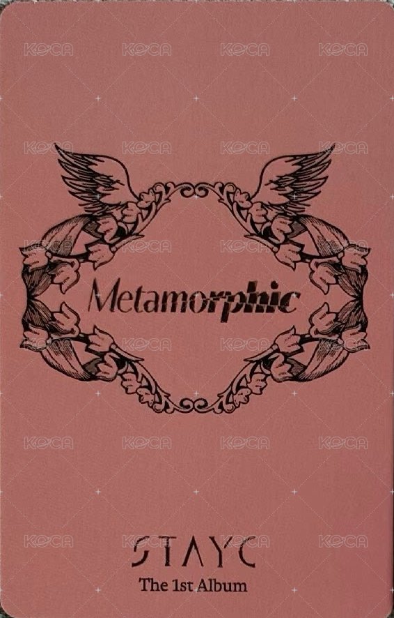 Metamorphic 專輯卡 雙人卡 珉森 背面