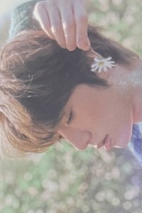 迷五 wvs 特典卡 