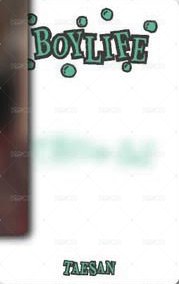 BOYLIFE wvs 幸運卡 4 背面