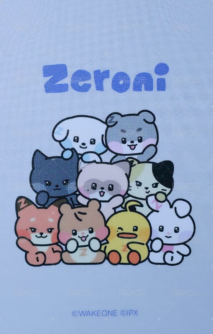 zeroni 滿額卡 ZB1 LINE FRIENDS 糰子滿額卡 背面
