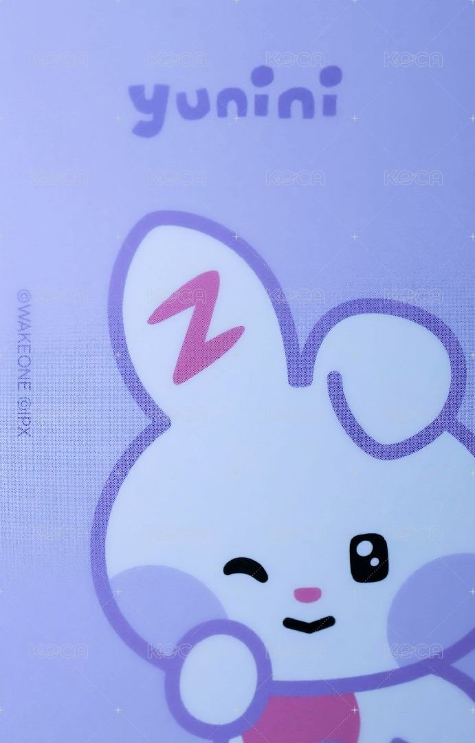 迷三快閃 周邊卡 ZB1 LINE FRIENDS 卡套卡 背面