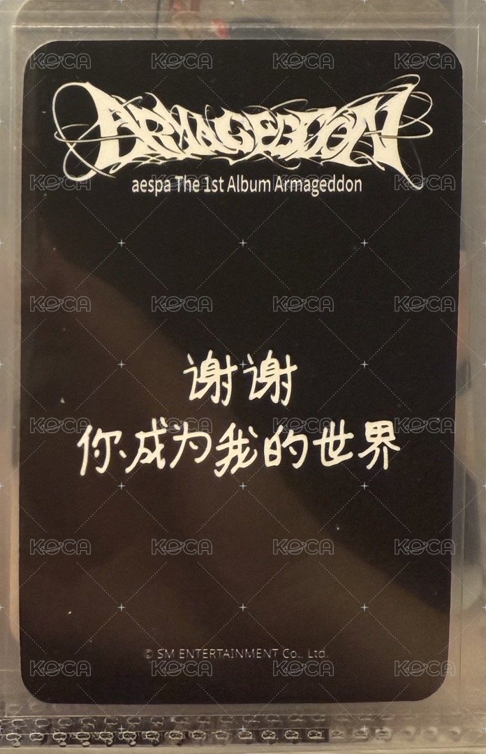 Armageddon sr 特典卡 星河預售a柚 背面