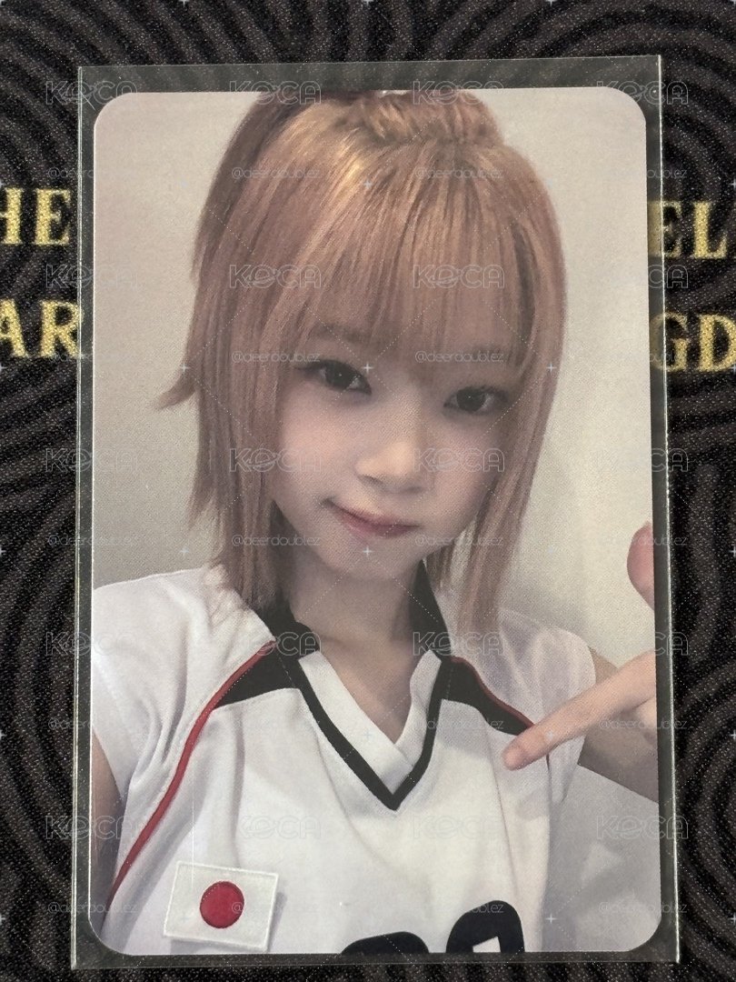 CURIOUS JP3.0 簽售Kotoko🦌