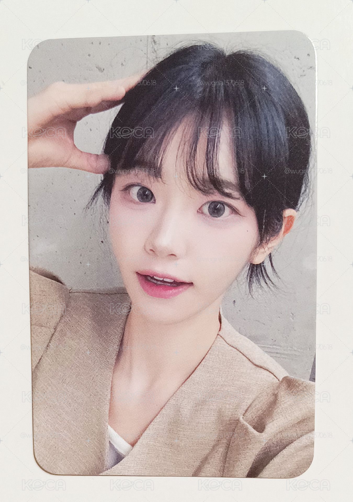 dmm 線下1.0 簽售卡 小狗影子丹