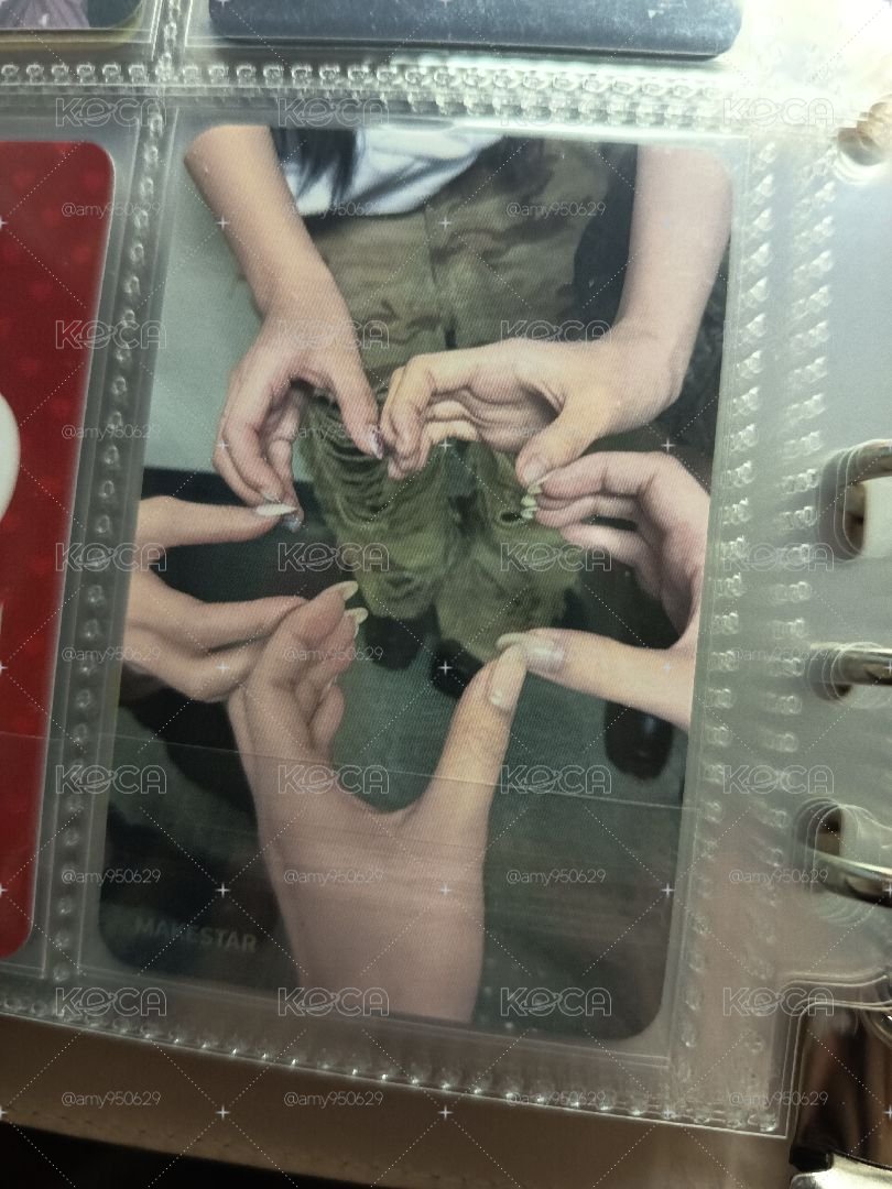 正規二ms15.0花環琦