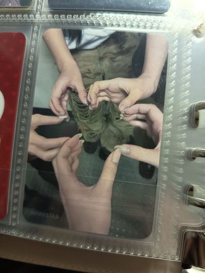 正規二ms15.0花環琦