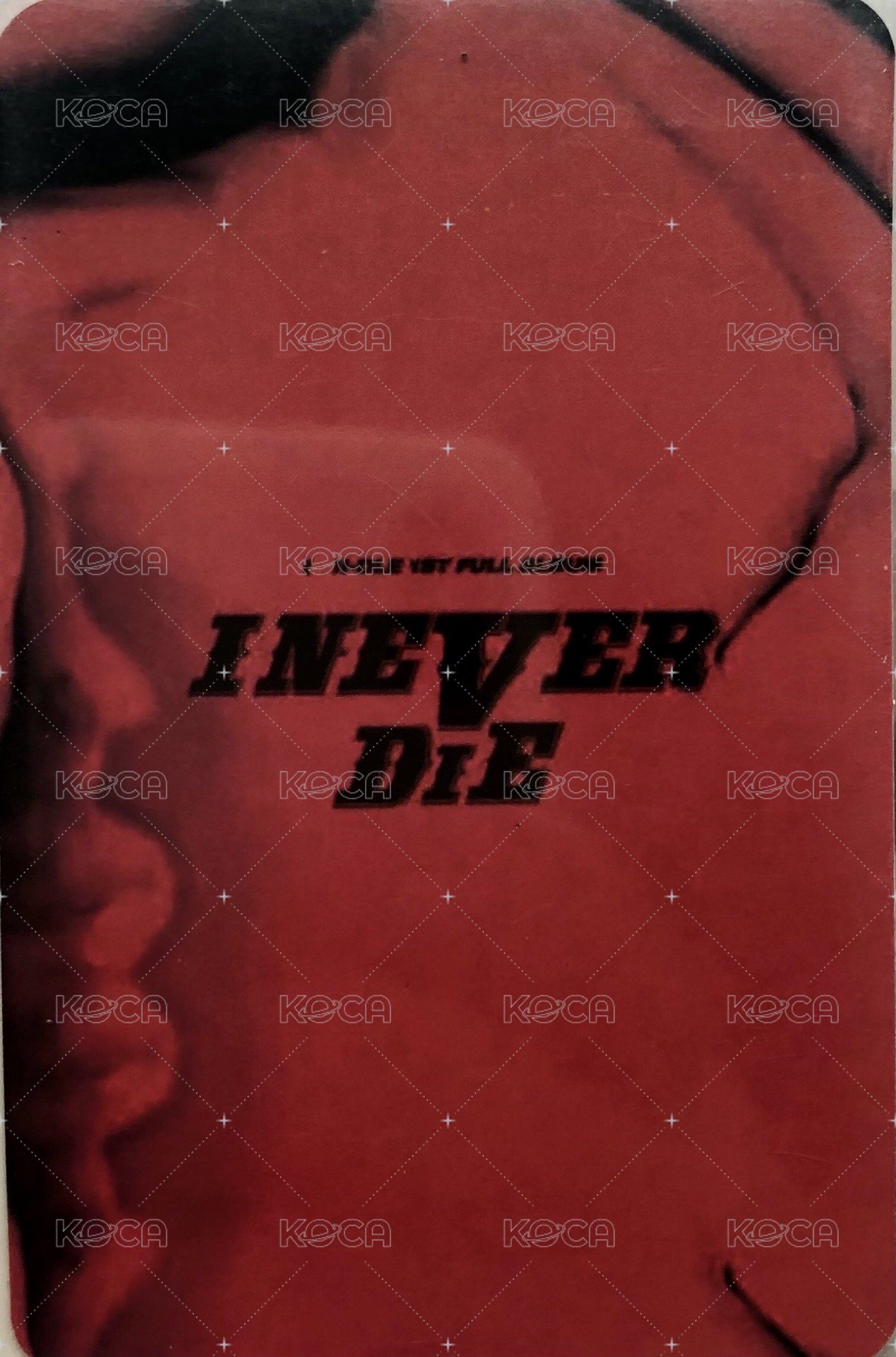 I NEVER DIE kms 特典卡 團卡 背面
