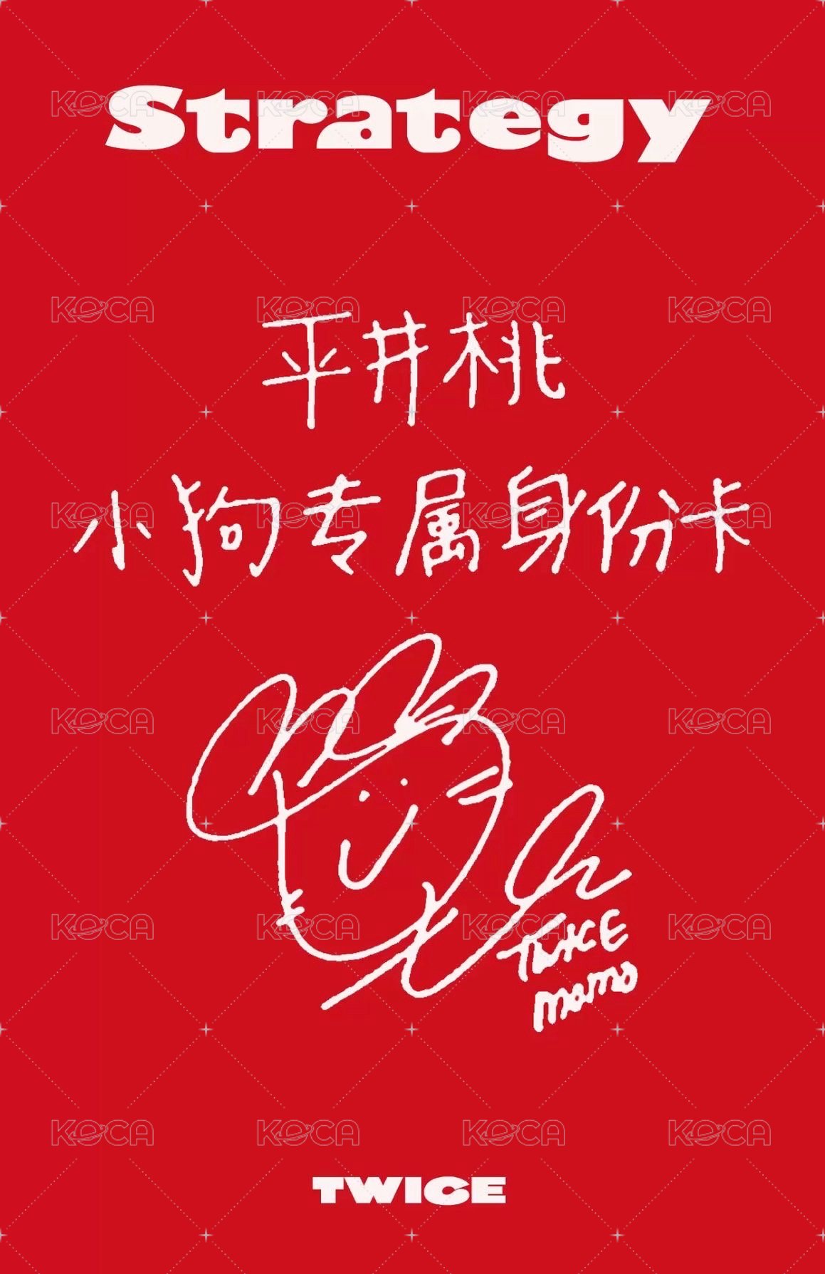 STRATEGY sr 預售中文卡背 特典卡  背面