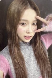 22smcu 專輯卡 家族豪冬