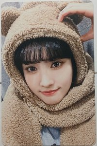 Teddy Bear wm 特典卡 [] 2.0小熊潤