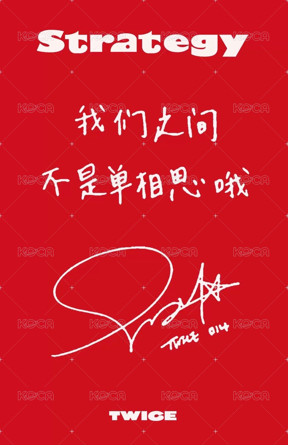 STRATEGY sr 預售中文卡背 特典卡  背面