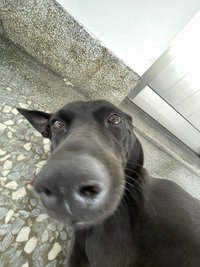 背著我擔跑