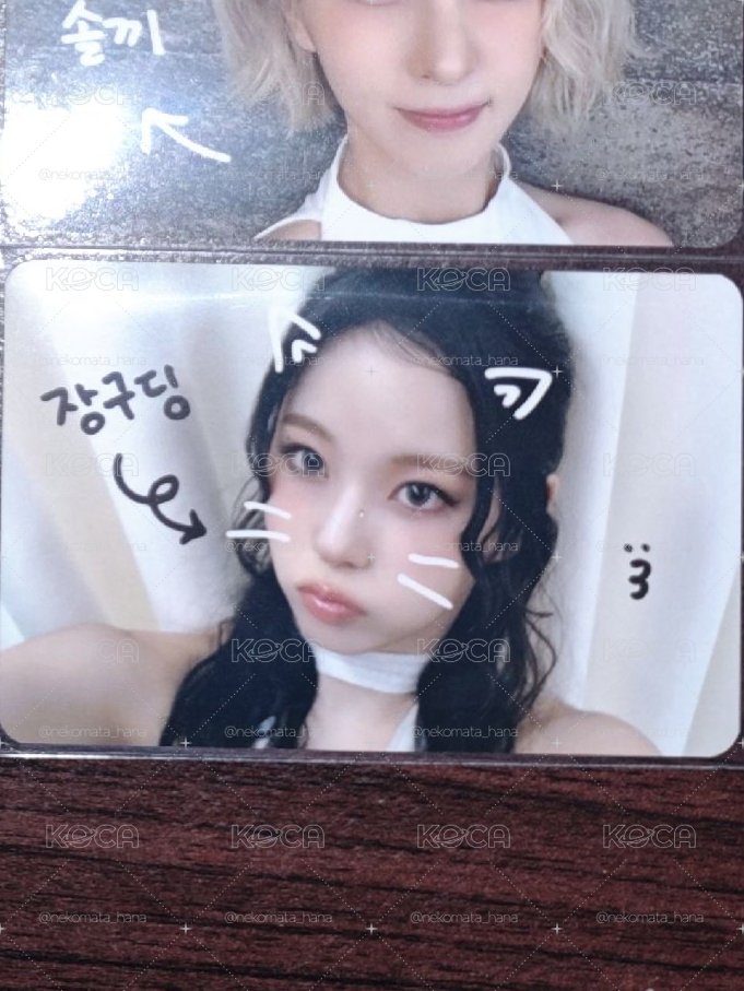 寵物鏡頭圭