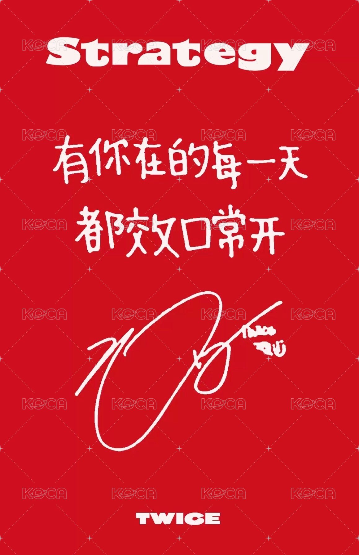 STRATEGY sr 預售中文卡背 特典卡  背面