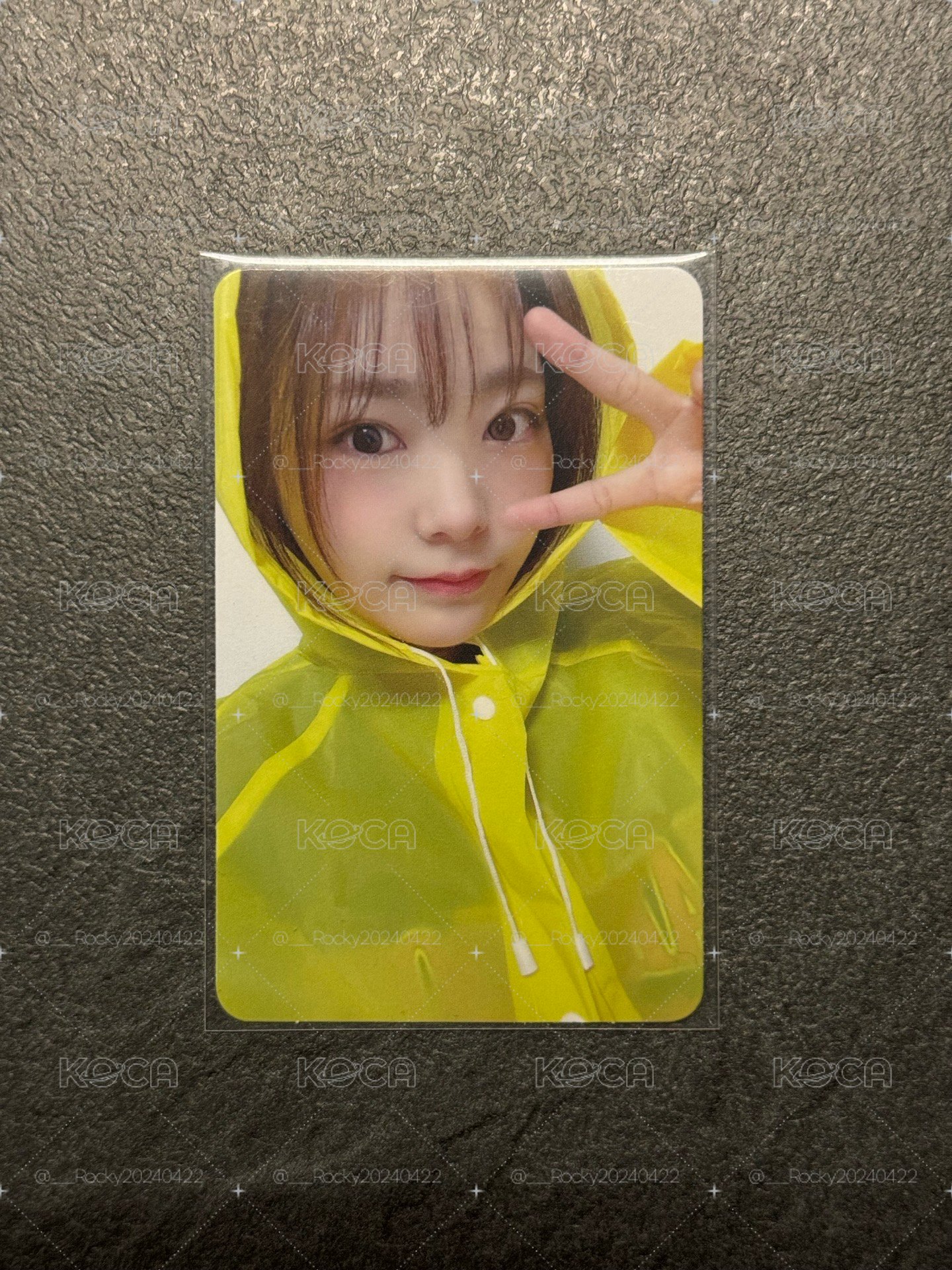 雨衣燕