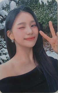 周邊卡 2025演唱會周邊小卡組