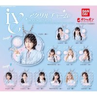 鑰匙圈吊飾 日本扭蛋鑰匙圈