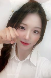 expérgo mp 幸運卡 LD 白貓薛
