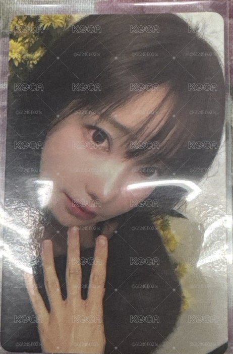 Magenta 專卡