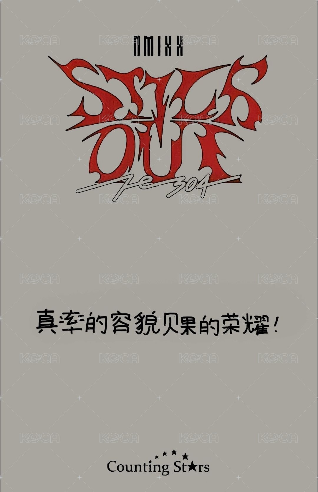 Fe3O4: STICK OUT 數星星 簽售卡 新娘裴 背面