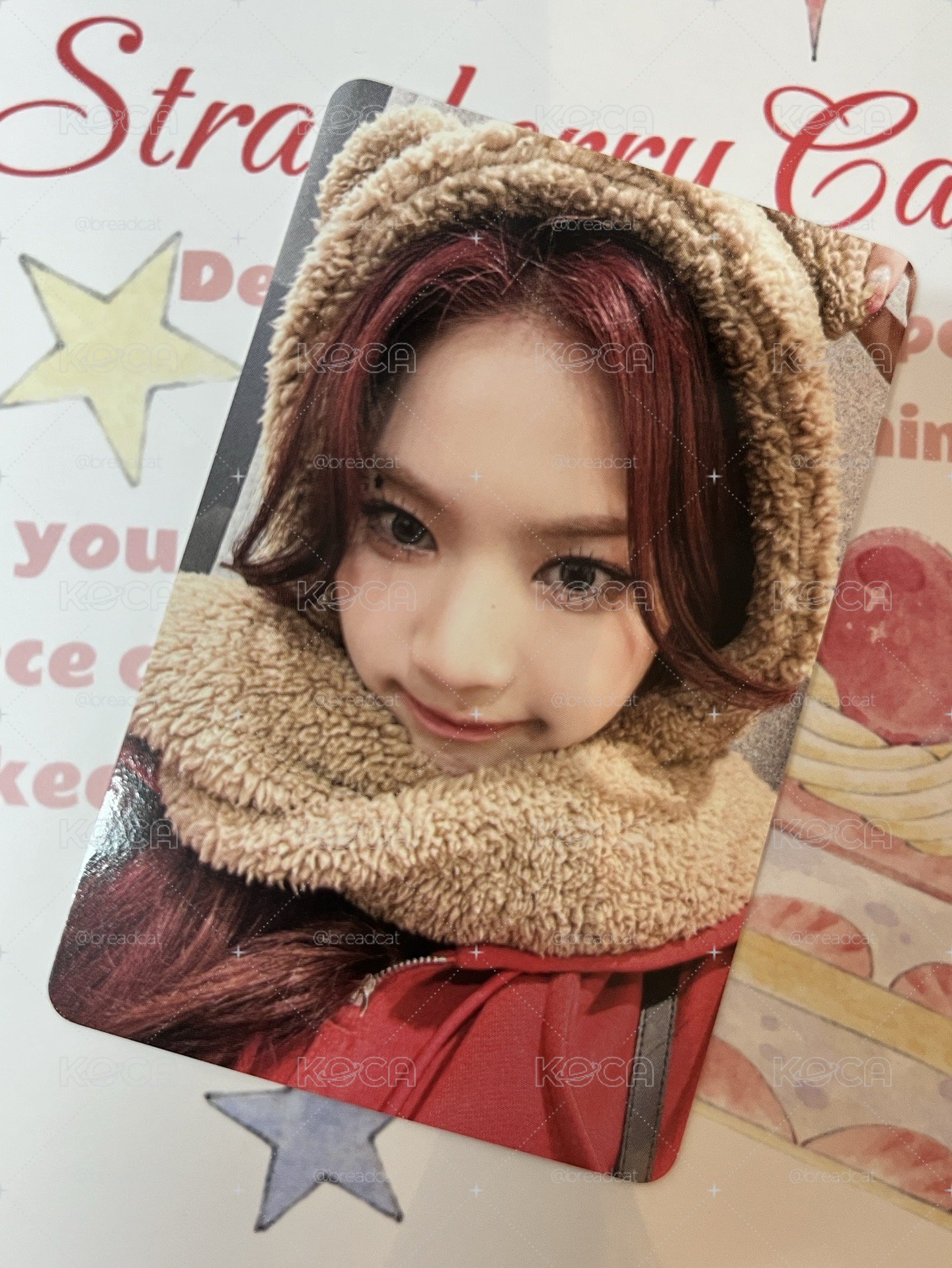 STAYC ISA Teddy Bear 泰迪熊 wm 小熊莎
