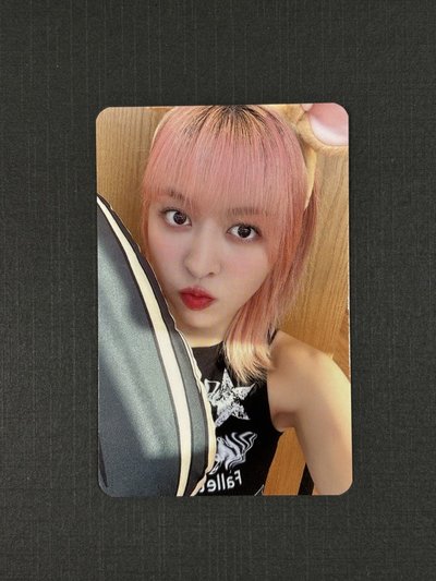 MS 7.0 倉鼠莉